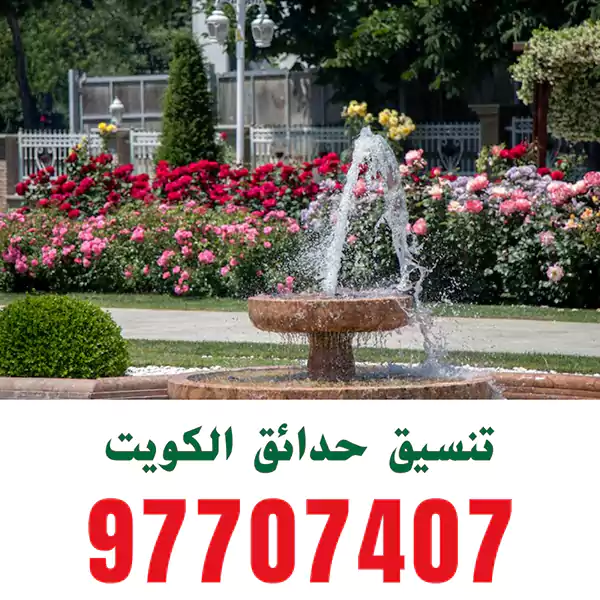 زراعة نباتات زينة فى الكويت