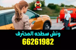 بدالة سطحات مبارك الكبير 66261982