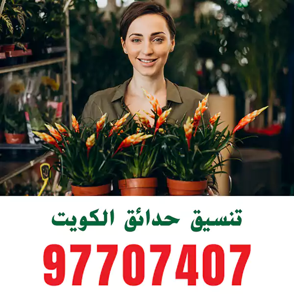تنسيق الحدائق في حولي