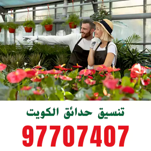 تركيب اضاءة حديقة