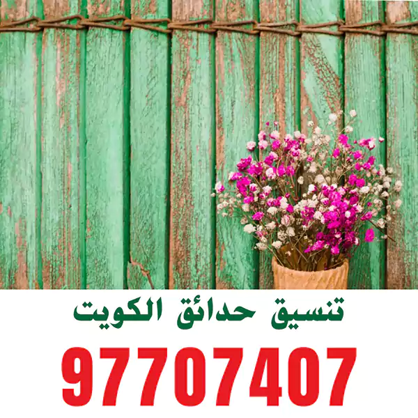 ديكورات حدائق الجهراء