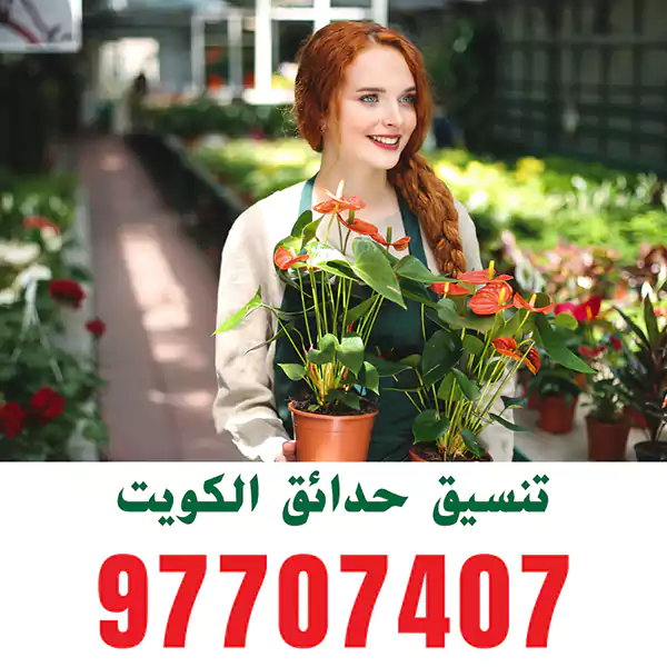 تنسيق الحدائق في حولي
