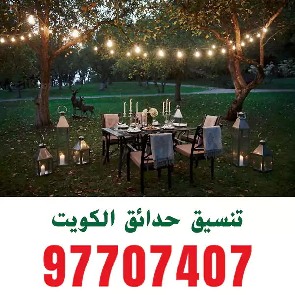 تركيب اضاءة حديقة العاصمة