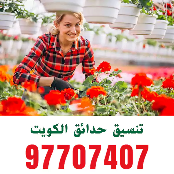 تنسيق الحدائق في الجهراء