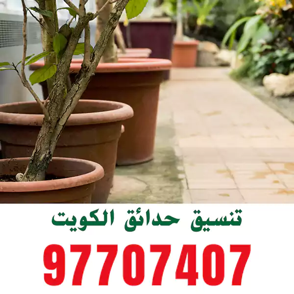عمل ممرات رخامية للحدائق حولي