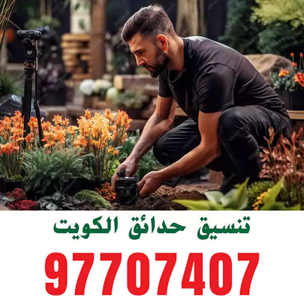 تنسيق الحدائق في حولي
