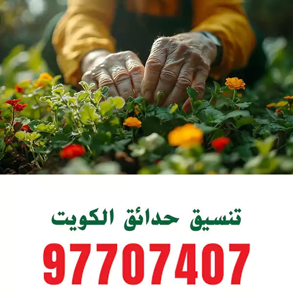تركيب اضاءة حديقة